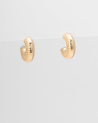 Aretes Jasso