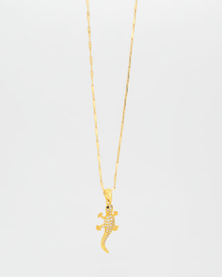 Collar Lagartija Tropical