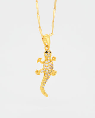 Collar Lagartija Tropical