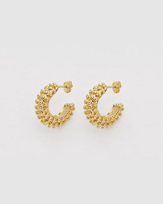 Set de Aretes Espresso