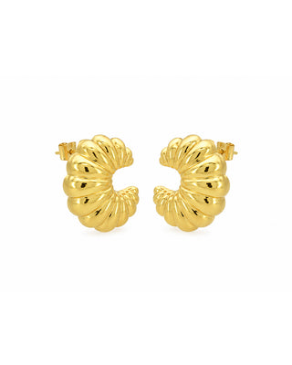 Aretes Rosseta