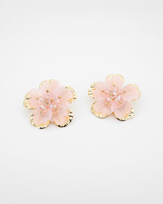 Aretes Sienna