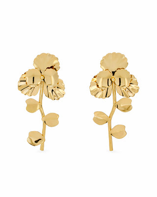 Aretes Botanic