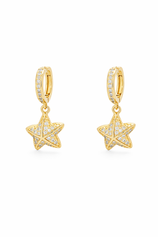 Aretes Nerea