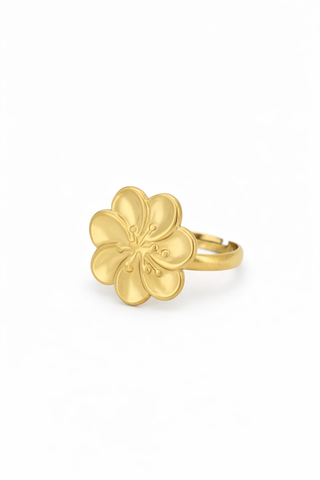 Anillo Caribe