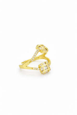 Anillo Liz
