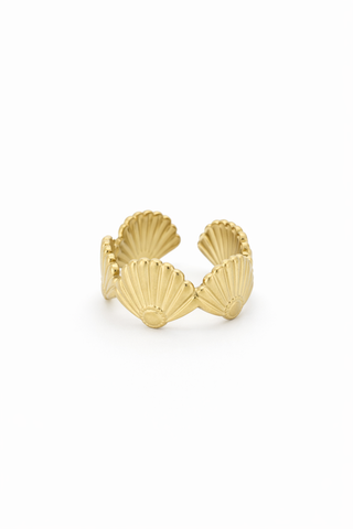 Anillo Tulum