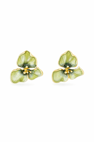 Aretes Norma