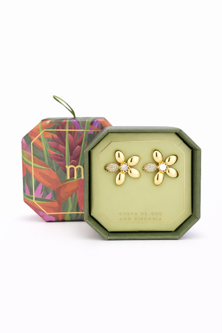 Aretes Leonor