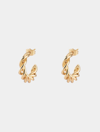 Aretes Garazi