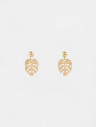 Aretes Aranea