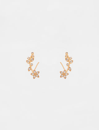 Aretes Sienna